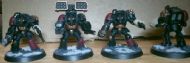 Terminators